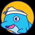 balidolphinwatching